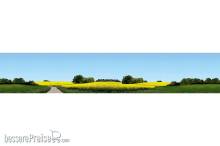 Faller 180504 - Modellhintergrund Ostholstein