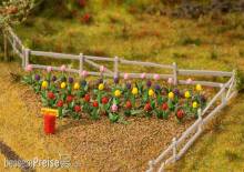Faller 181262 - 36 Tulpen