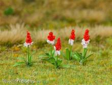 Faller 181267 - 32 Orchideenprimeln
