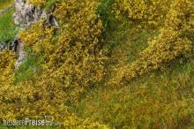 Faller 181615 - Blätterfoliage, hellgrün