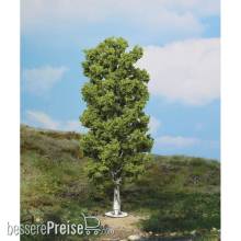 Heki 1984 - 1 Birke 20 cm