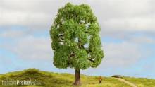 Noch 20100 - NOCH Master-Baum Esche