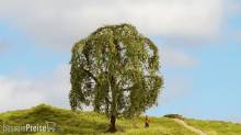 Noch 20115 - NOCH Master-Baum Trauerweide