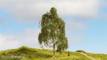 Noch 20120 - NOCH Master-Baum Hängebirke