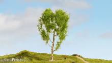 Noch 20125 - NOCH Master-Baum Moorbirke