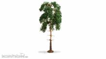 Noch 20141 - NOCH Master-Baum Kiefer