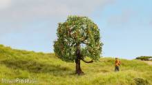 Noch 20145 - NOCH Master-Baum Apfelbaum