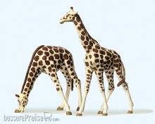 Preiser 20385 - HO Giraffen