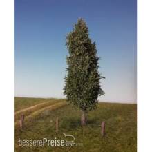 Silhouette 213-52 - Pappel Sommer TT/H0 17-22cm