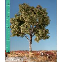 Silhouette 220-33 - Buche Frühherbst TT/H0 ca 20-29cm