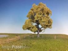 Silhouette 220-51 - Buche Frühling TT/H0 17-22cm