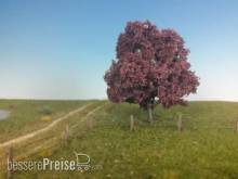 Silhouette 222-42 - Blutbuche Sommer 12-16cm