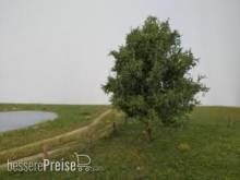 Silhouette 229-42 - Pflaumenbaum Sommer 12-16cm