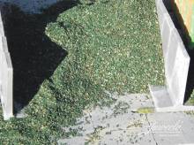 Juweela 23476 - 1:32 Maissilage grün, 400g