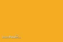 Weinert 2425 - Molak 7-M-Yellow, matt 124M (18 ml)