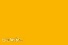 Weinert 2478 - Molak LMU-2 Yellow Facings 1154M (18 ml)
