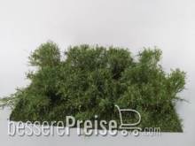 Silhouette 252-32 - Gestrüpp Profiline