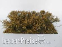 Silhouette 252-34 - Gestrüpp Profiline