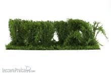 Silhouette 254-31 - Hecke Frühling H0/0