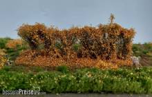 Silhouette 254-34 - Hecke Spätherbst H0/0