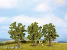 Noch 25510 - Obstbäume