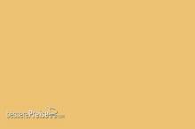 Weinert 2602 - Nitro-Acryl-Farbe RAL 1002Sandgelb 25 ml