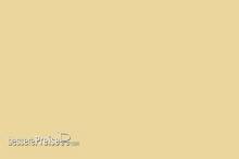 Weinert 2605 - Nitro-Acryl-Farbe RAL 1014Elfenbein 25 ml
