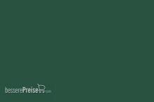 Weinert 2629 - Nitro-Acryl-Farbe RAL 6020Chromoxidgrün 25 ml