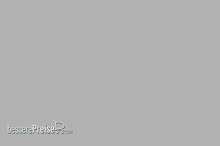 Weinert 2647 - Nitro-Acryl-Farbe RAL 9006Weißaluminium 25 ml