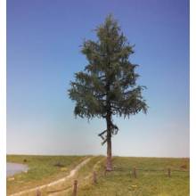 Silhouette 276-000-4 - Tanne Halbhoch Sommer 0/1/2 40-45cm