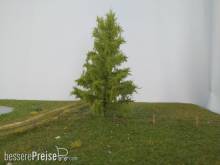 Silhouette 279-61 - Lärche/ Larch NZ Z/N/TT/H0 8cm Frühling/ spring