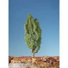 Silhouette 313-52 - Pyramidenpappel Sommer 0/1/2 ca. 62 cm
