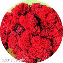 Heki 3213 - Islandmoos rot 30 g