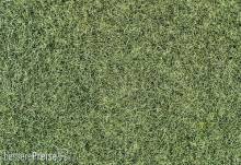 Heki 33540 - Wintergras 75g, 6mm