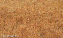 Heki 33545 - Grasfaser Wildgras Spätherbst 75 g