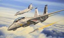 Hobby Boss 80277 - 1:72 F-14B Tomcat