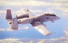 Hobby Boss 80324 - N/AW A-10A Thunderbolt II