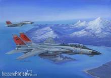 Hobby Boss 80368 - 1:48 F-14D Super Tomcat