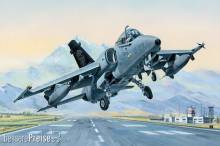 Hobby Boss 81741 - AMX Ground Attack Aircraft