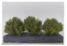 Silhouette 350-51 - Büsche 3er Set / bushes set of 3 3-4cm Frühling/ spring