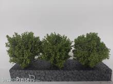 Silhouette 350-52 - Büsche 3er Set, Sommer