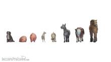 Noch 35705 - Tiere auf dem Bauernhof