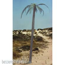 Royal Model RM056 - Palm tree