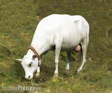 Royal Model RM747 - Cow standing