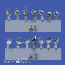 Royal Model RM839 - Assorted hands set No.1