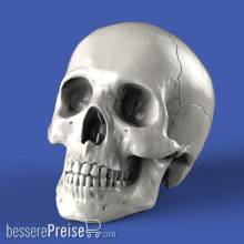 Royal Model RM857 - Skulls (75mm)