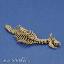 Royal Model RM1046 - Cow skeleton n.1 3D printed
