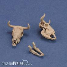 Royal Model RM1051 - Cow skulls