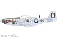 Eduard Accessories D72053 - P-51D-5 8th AF EDUARD