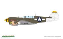 Eduard Plastic Kits 84210 - P-40N Warhawk